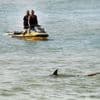 Israel shark attack victim bragged he was going to 'splash about' before fatal mauling