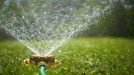 How to drought-proof your garden – and why you should avoid sprinklers