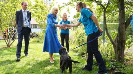 Königin Camilla eröffnet "Hundegarten": Darum durfte ihre Hündin Moley nicht mit