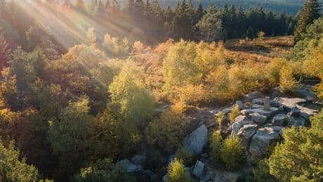 Beliebte Regionen für Naturfreunde: Das bieten die fünf größten Naturparks in NRW