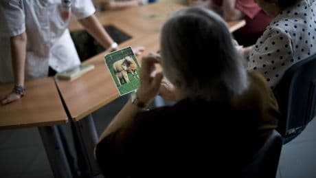 Los 14 mandamientos para frenar el alzhéimer según el mayor estudio: hábitos diarios contra la demencia