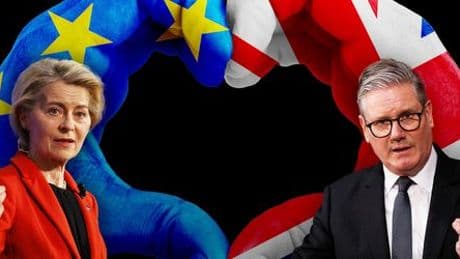 Brexit-Folgen: Was sich Keir Starmer vom »Reset« mit der EU erhofft