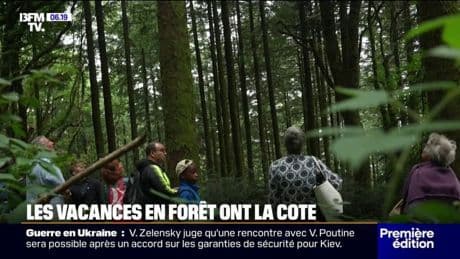 "C'est un lieu où les gens ont tendance à lâcher": les vacances en forêt de plus en plus prisées par les Français