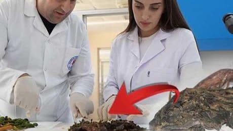 SON DAKİKA: Şırnak'ta keşfedildi, bilim dünyası şaşkın! 3 ölümcül hastalığa karşı etkili: Kanser araştırmalarında yeni umut