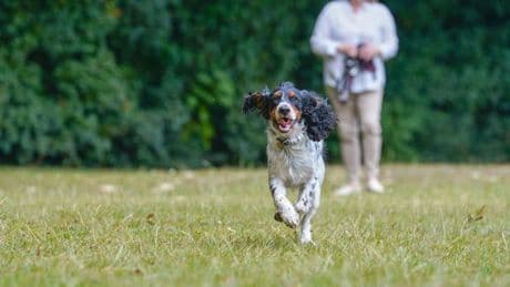 'My dog knew something was wrong and saved my life - now I have to say goodbye'