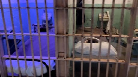 Comeback von Alcatraz - Trump plant Wiedereröffnung
