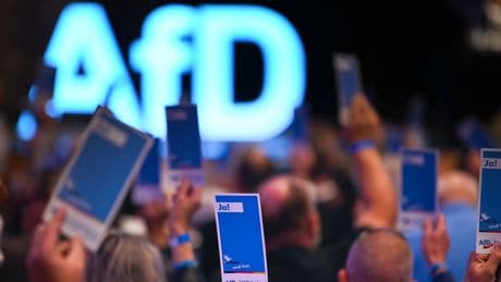Vier Entwürfe: Debatte um neues Logo der AfD-Jugend: "Das hat ein bisschen NS-Ästhetik"