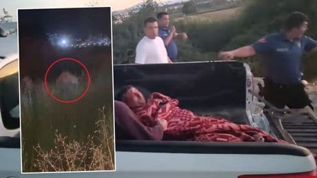 Antalya'da hayvan parkından kaçıp bir kişiyi yaralayan aslan öldürüldü
