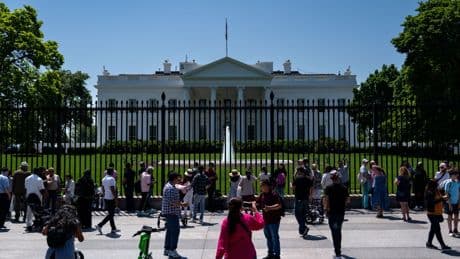 Staffers are already fleeing the Trump administration for cushy lobbying jobs before the end of year one