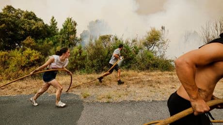 The top photos of the week by AP's photojournalists