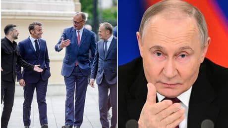 Putins vergifteter "Gegenvorschlag": Was der Kreml-Chef damit erreichen will