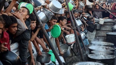 Carta urgente al Gobierno sobre la tragedia de Gaza