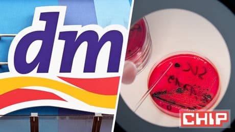 Nach großem Rückruf bei dm: Salmonellen-Ausbruch in Deutschland und Österreich
