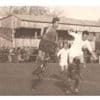 À Falaise, le football est plus que centenaire et a compté au moins trois clubs dans son histoire
