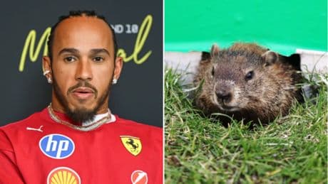 The moment ‘devastated’ Lewis Hamilton ran over groundhog during Canadian Grand Prix