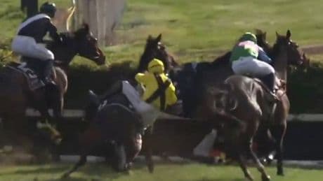 Six horses dump their jockeys in crazy scenes - 'We may not even finish the race!'