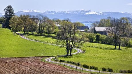 Ruralité : quand les idées reçues sur la campagne s’enracinent