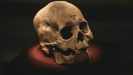 «18 coups de lame dans le crâne»: enquête sur un massacre de l'âge du bronze dans un cimetière chinois