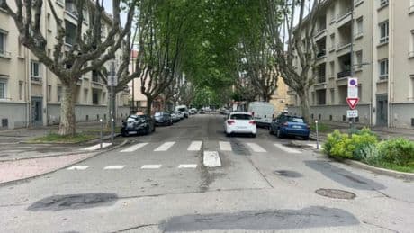 "Il faut attendre qu'il y ait un mort?": des riverains se plaignent de nuisances causées par des arbres à Givors