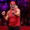 Voormalig worstelkampioen en acteur Hulk Hogan (71) overleden