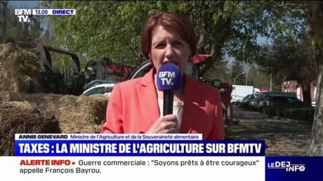 Taxes américaines: "L'alimentation est devenue véritablement une arme", assure Annie Genevard, ministre de l'Agriculture