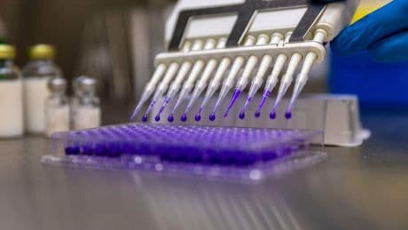 Biontech und Curevac: Streit um mRNA-Impfstoffe – GSK kassiert 500 Millionen Dollar