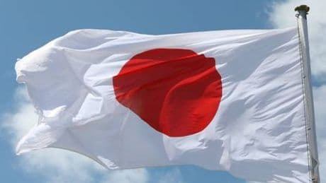 Japan: Polizei findet Tausende lebende Krebse im Gepäck von Chinesen