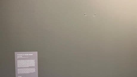 Censurada en Andorra una exposición de obras censuradas del Museu d’Art Prohibit