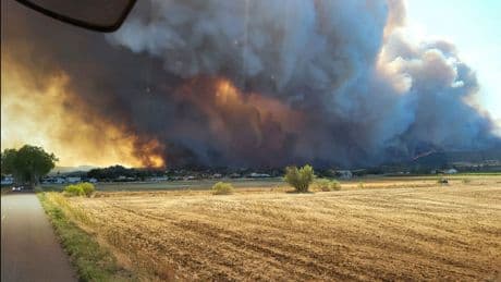 Eine Tote bei Vegetationsbrand in Frankreich