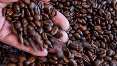 Einzelhandel: Marktforscher: Kaffee verliert junge Käufer
