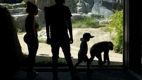 Letters to the Editor: L.A. Zoo's messy breakup comes 'with heartbreak and deja vu' for former GLAZA employee
