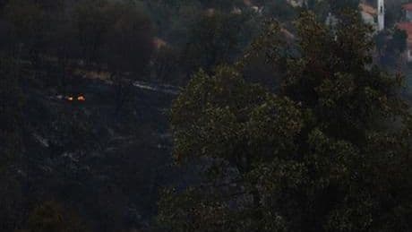 Malatya'daki orman yangını söndürüldü
