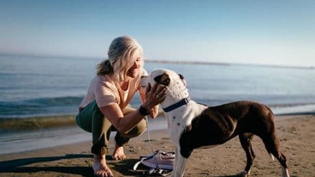 New UK beach rules for dog owners this week and you could face a huge fine