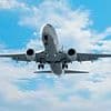 British tourist forces plane to make emergency landing after 'repeatedly punching Turkish passenger'