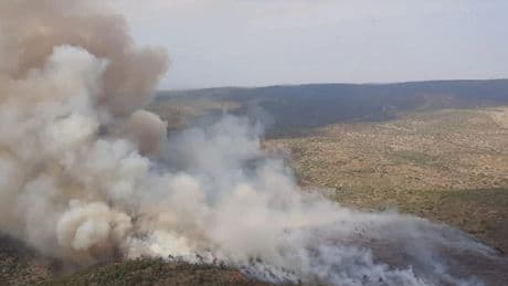 La Comunidad Valenciana establece la situación 2 del PEIF por el incendio de Teresa de Cofrentes y pide movilizar la UME