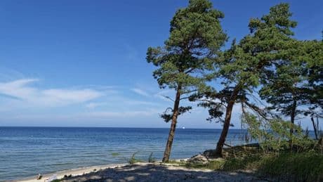 Ostsee: Polen meldet riesiges Ölfeld – direkt vor der Küste Usedoms