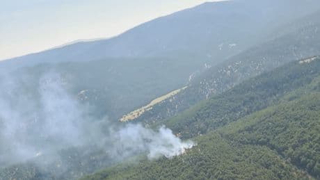 Denizli'nin Çivril ilçesinde orman yangını çıktı