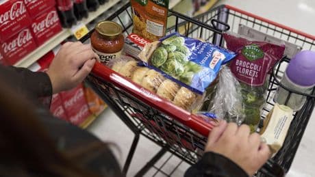 House GOP bill requires states to share food benefit costs, strengthens SNAP work requirements