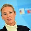 Le parti d'extrême droite allemand AfD porte plainte après avoir été classé "extrémiste"