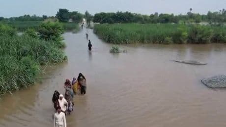Pakistan floods: Emergency workers use drones to rescue people stranded on rooftops