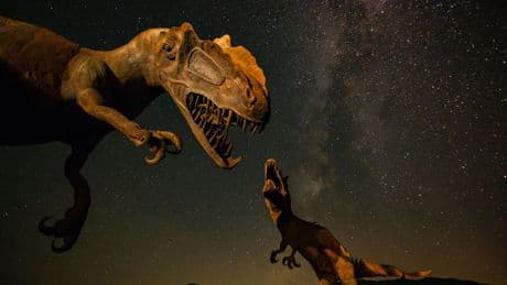 Küçük ama ölümcül: Dinozorları asteroidden önce kemik enfeksiyonu vurdu