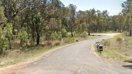 Bodies of two young boys found inside home as woman arrested