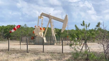 En France on a peu de pétrole, mais on a de mauvaises idées