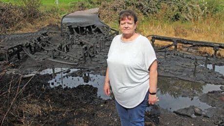 Firebugs cause tens of thousands of pounds worth of damage to Dumfries park bridge