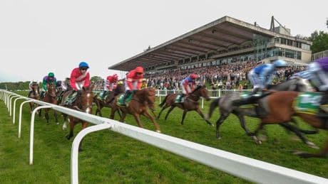 Newsboy's horse racing tips for Thursday's five meetings, including Sandown NAP