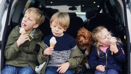 May half term: Best free and cheap activities for kids including cinema and eating out