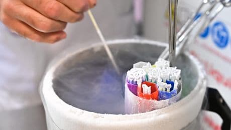 Infertilité : le gouvernement prévoit de nouveaux centres de conservation d’ovocytes