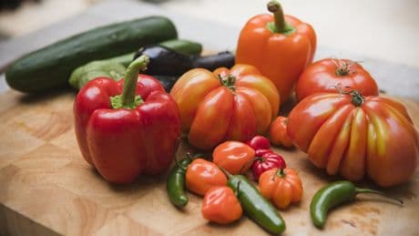 Abnehm-Gemüse im Sommer: Hier sollten Sie zugreifen
