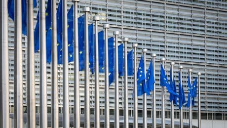 Loi Duplomb : ce que dit l’UE sur l’acétamipride, interdit en France mais toujours autorisé par Bruxelles