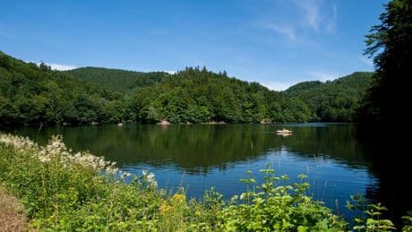 Braunschweig Tipp: Wiesenbeker Teich – Idyll mit Seeblick für Familien